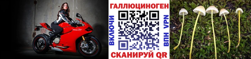 Купить закладки Юрга Псилоцибиновые грибы GOLDEN TEACHER